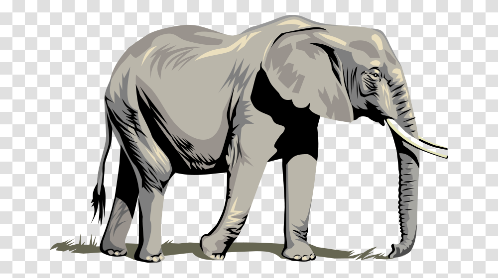 Elephants Images Free Download Elephant, Wildlife, Mammal, Animal Transparent Png