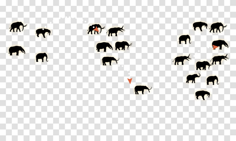 Elephants Paleo Sleuths, Cow, Cattle, Mammal, Animal Transparent Png