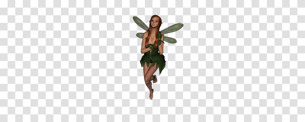 Elf Person, Human, Animal, Invertebrate Transparent Png