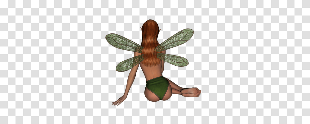 Elf Person, Invertebrate, Animal, Insect Transparent Png