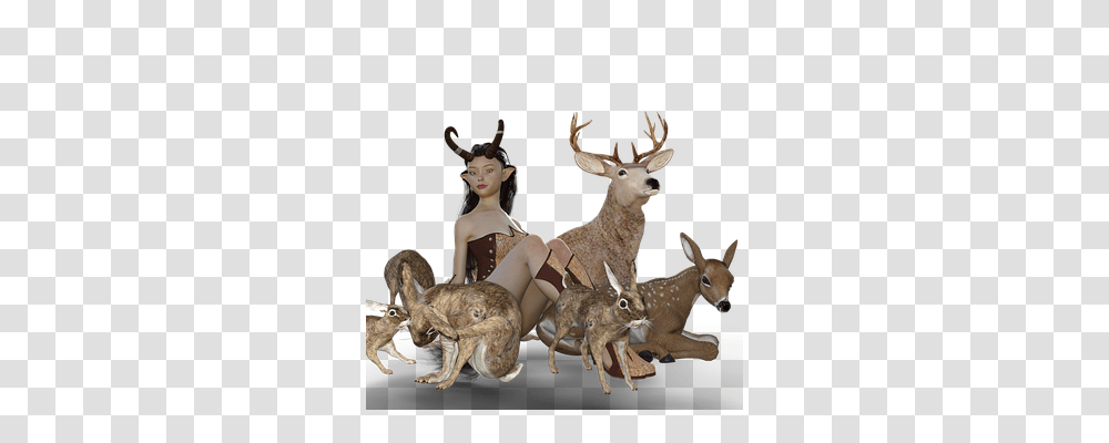 Elf Nature, Deer, Wildlife, Mammal Transparent Png