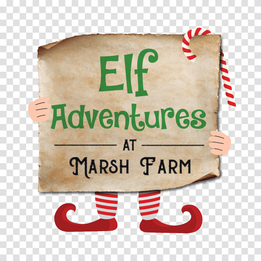 Elf Adventures, Label, Diaper, Food Transparent Png