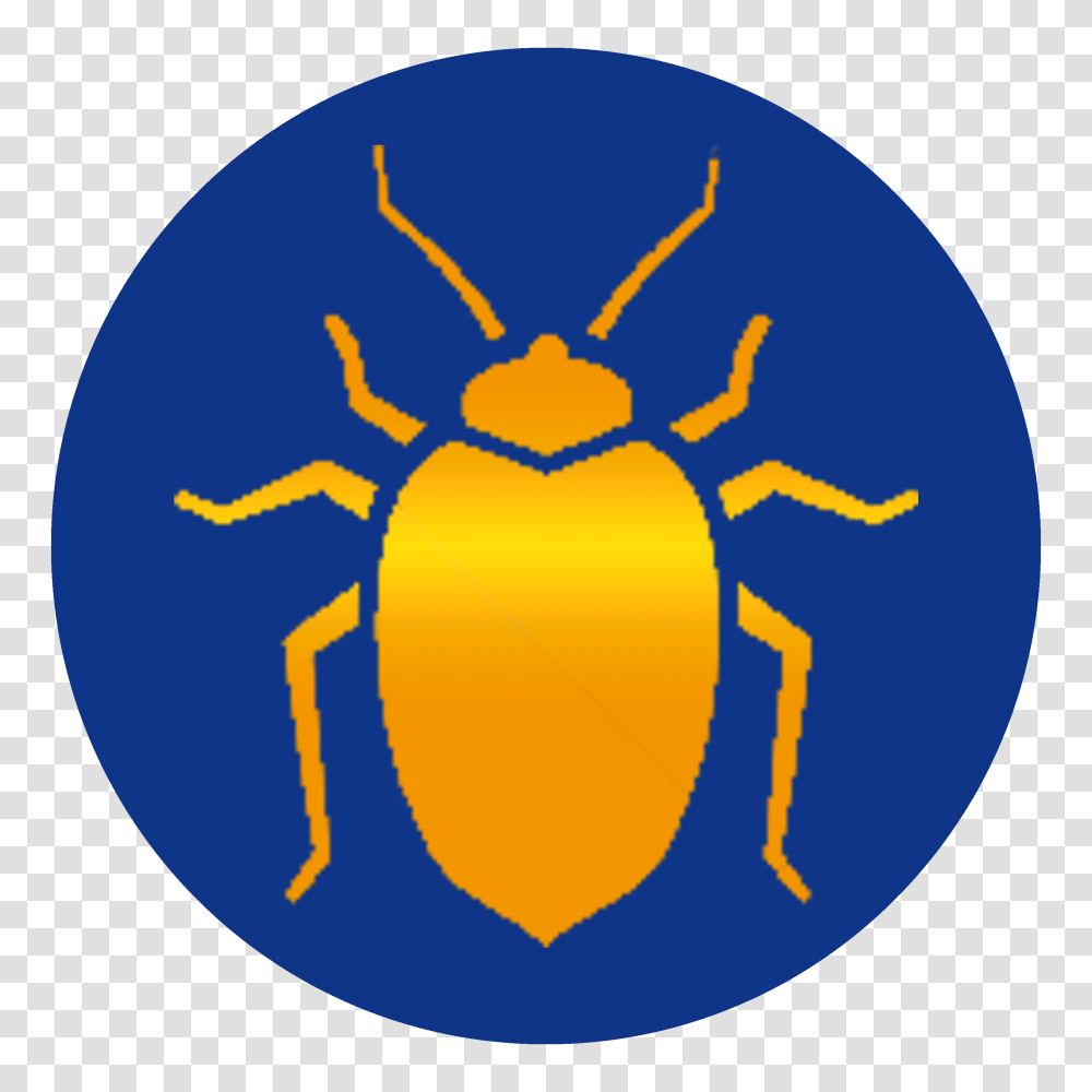 Eliminate Bed Bugs With Elite Pest And Termite Bed Bug Service, Animal, Insect, Invertebrate, Tick Transparent Png