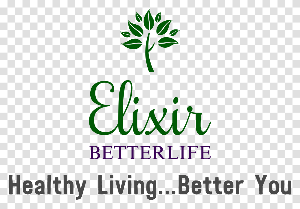 Elixir Betterlife General Trading Llc Graphics, Potted Plant, Vase, Jar Transparent Png
