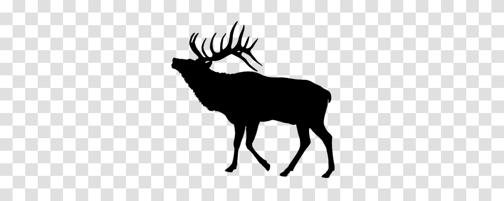 Elk Gray, World Of Warcraft Transparent Png