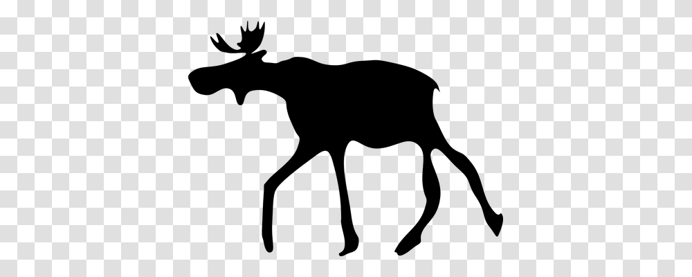 Elk Animals, Gray, World Of Warcraft Transparent Png