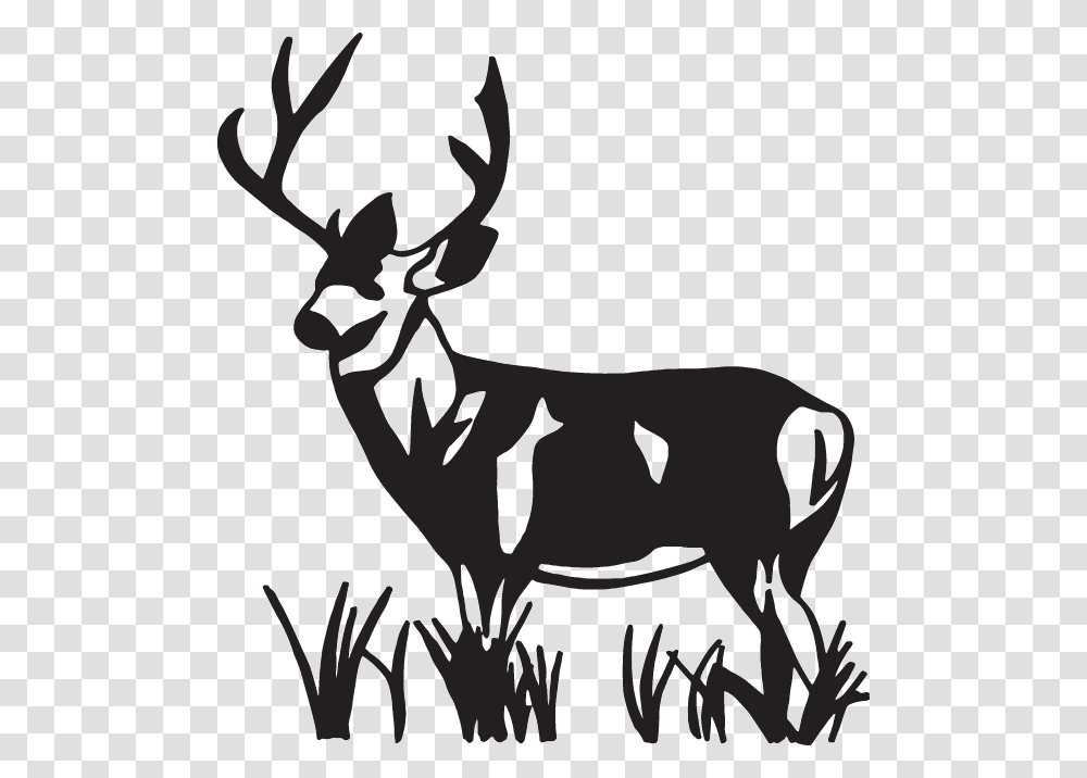 Elk, Antelope, Wildlife, Mammal, Animal Transparent Png