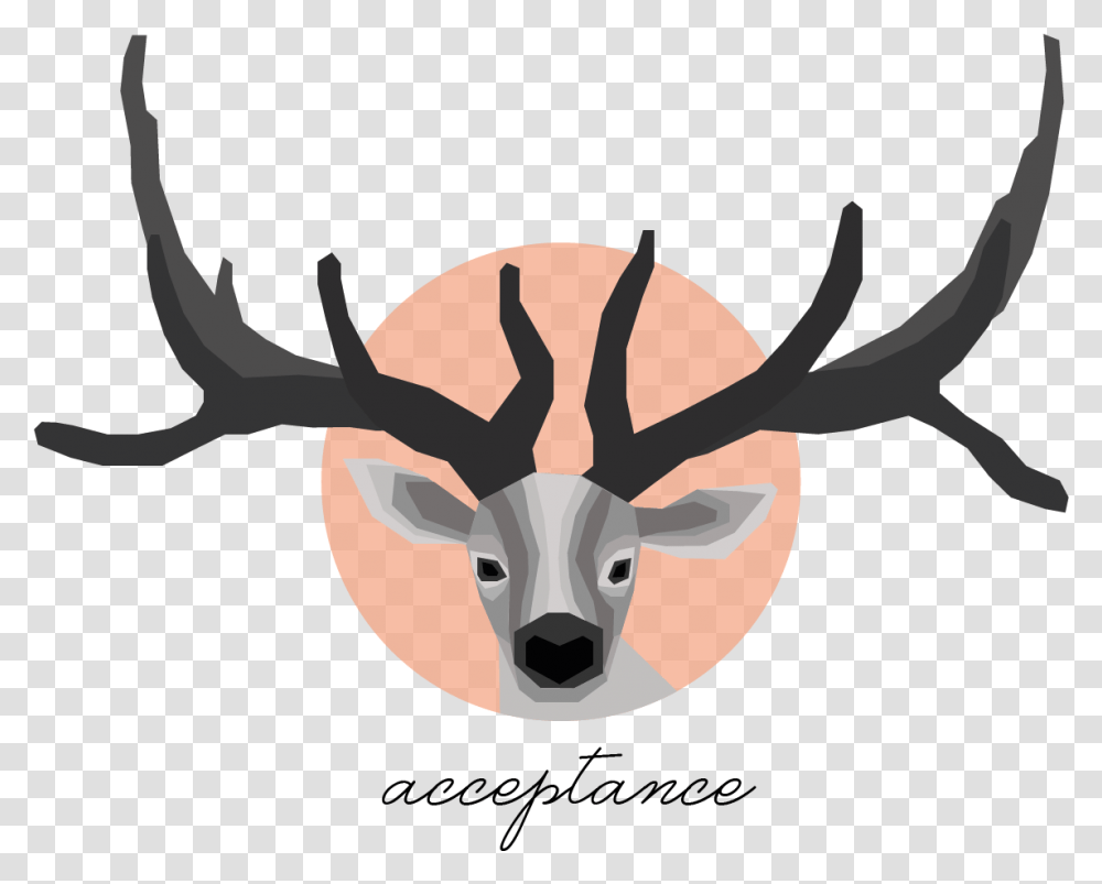 Elk, Antler, Deer, Wildlife, Mammal Transparent Png