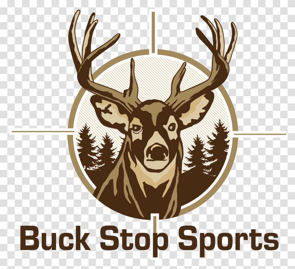 Elk, Antler, Deer, Wildlife, Mammal Transparent Png