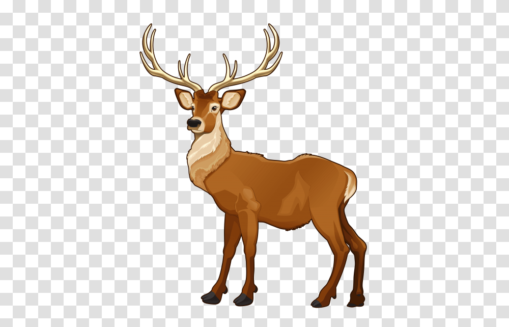 Elk Art, Deer, Wildlife, Mammal, Animal Transparent Png