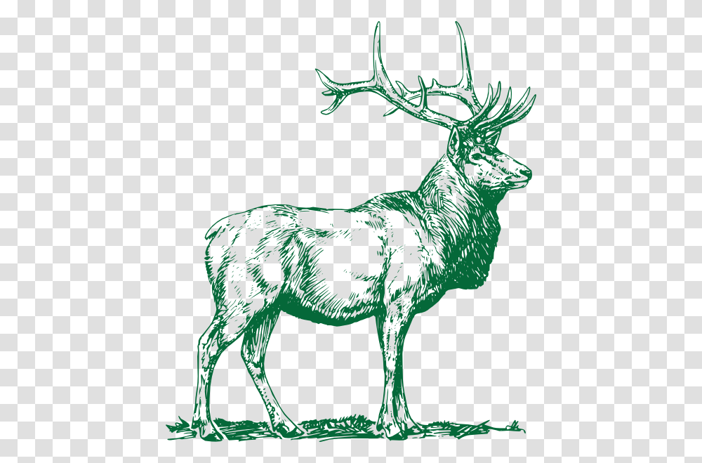 Elk Clip Art, Deer, Wildlife, Mammal, Animal Transparent Png