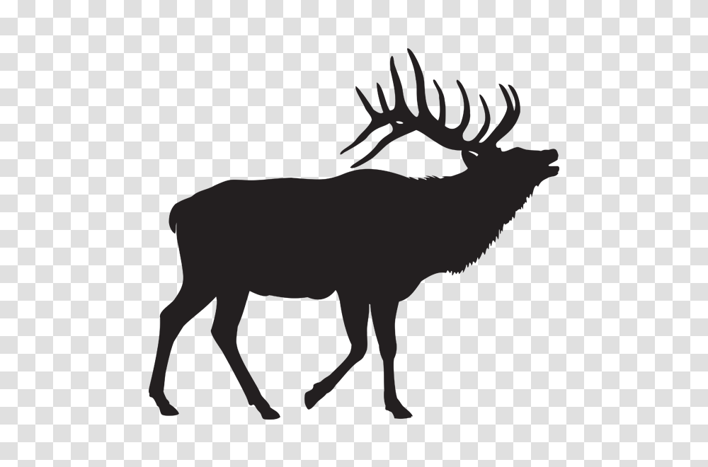 Elk Clipart Elk Hunting Elk Elk Hunting Free, White Board Transparent Png