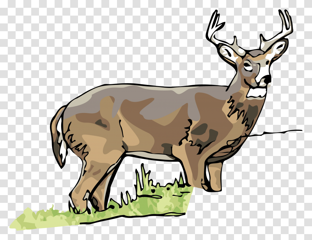 Elk Clipart White Tailed Deer, Wildlife, Mammal, Animal, Antelope Transparent Png