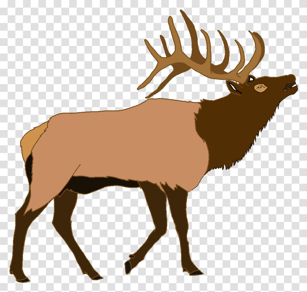 Elk Deer Illustration Vector Graphics Moose Elk Clipart, Wildlife, Animal, Mammal, Horse Transparent Png