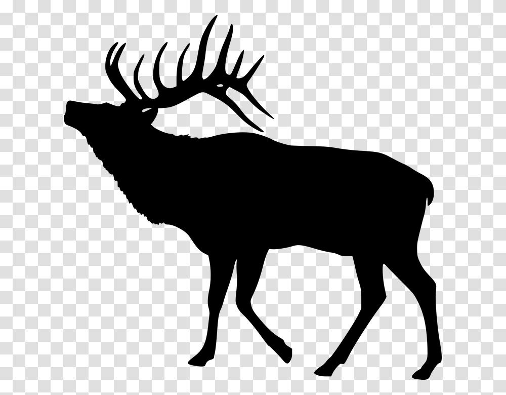 Elk Deer Silhouette Animal Mammal Antler Wildlife Elk Clipart Black And White, Gray, World Of Warcraft Transparent Png