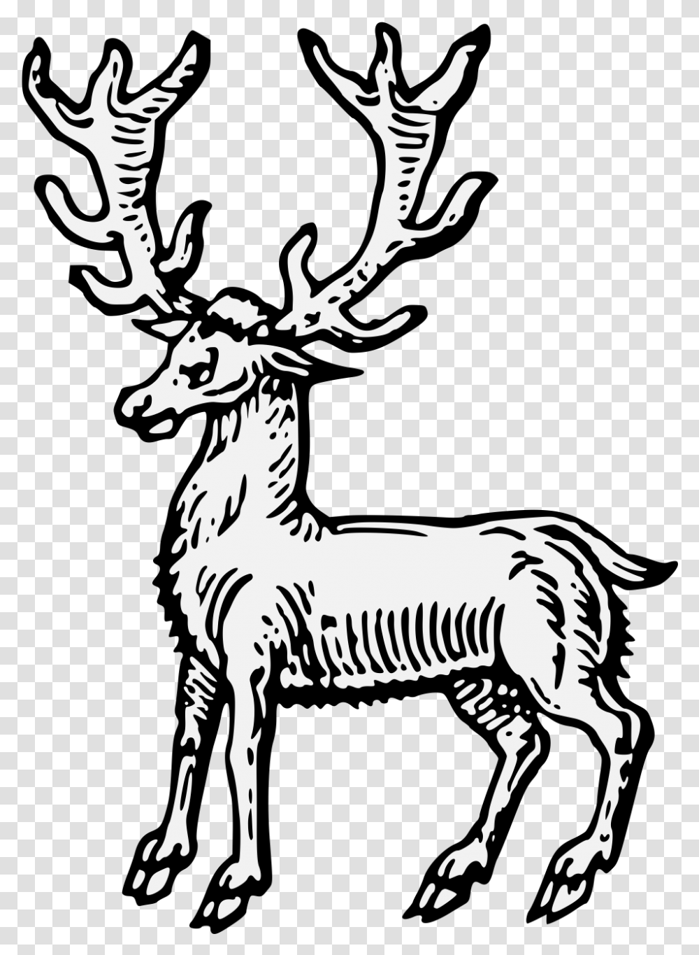 Elk, Deer, Wildlife, Mammal, Animal Transparent Png