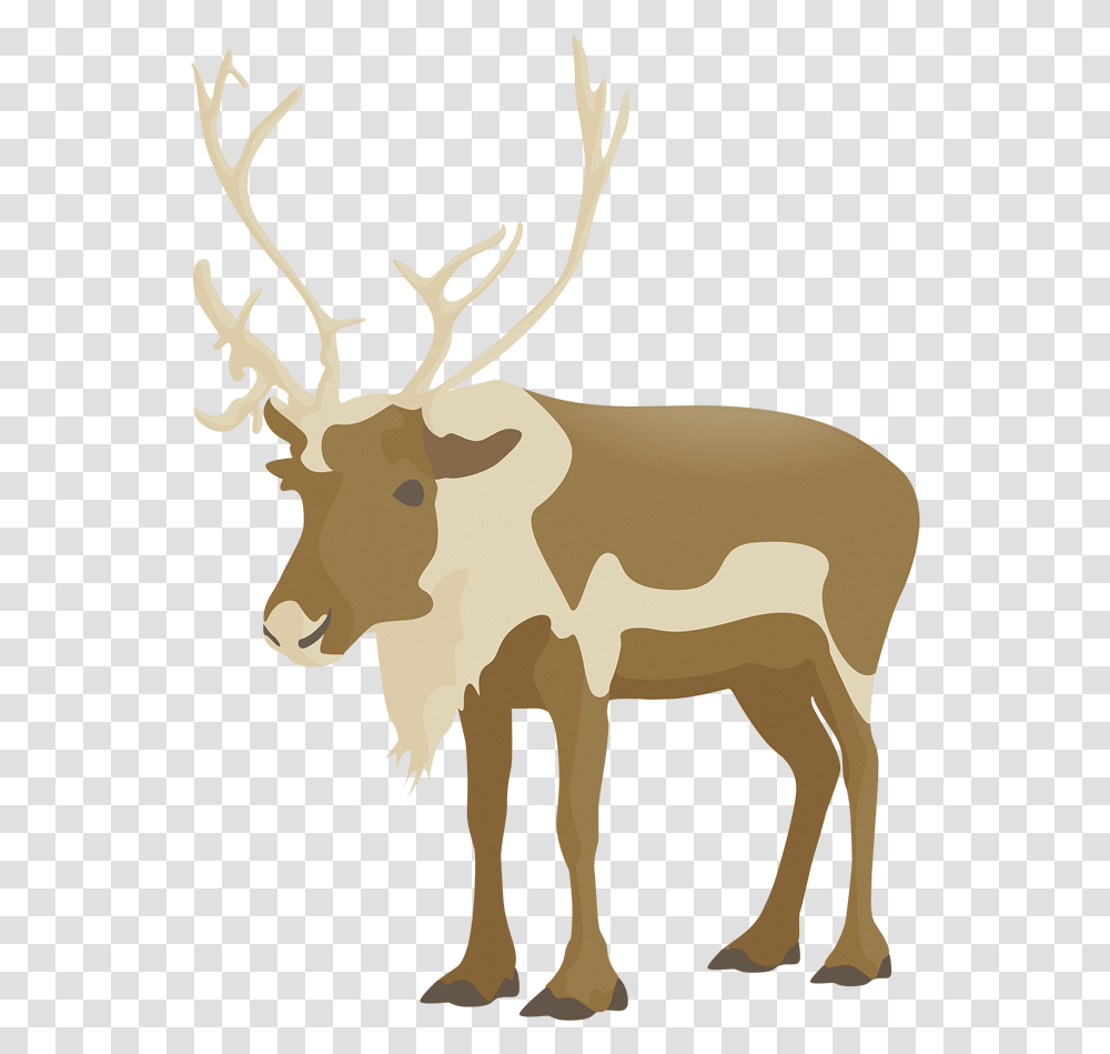 Elk, Deer, Wildlife, Mammal, Animal Transparent Png