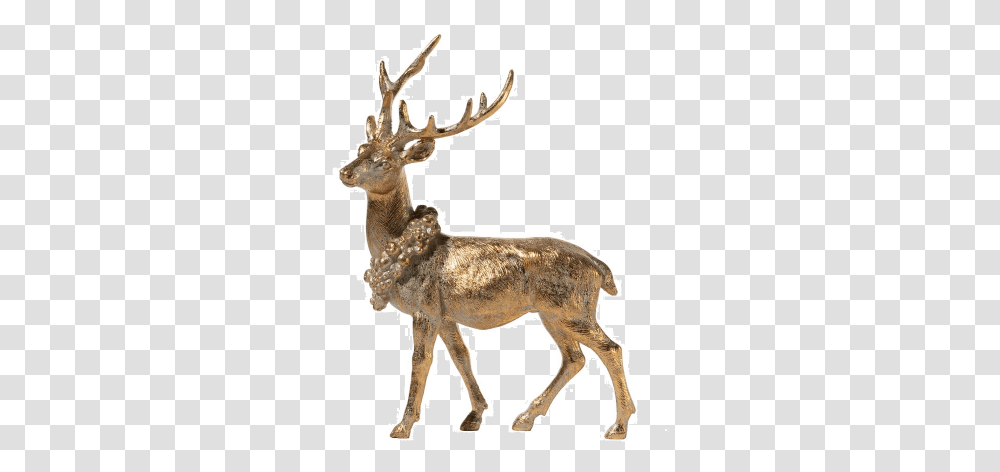 Elk, Deer, Wildlife, Mammal, Animal Transparent Png