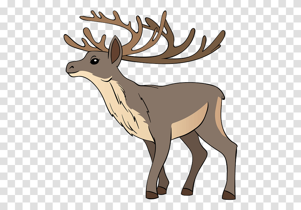 Elk, Deer, Wildlife, Mammal, Animal Transparent Png