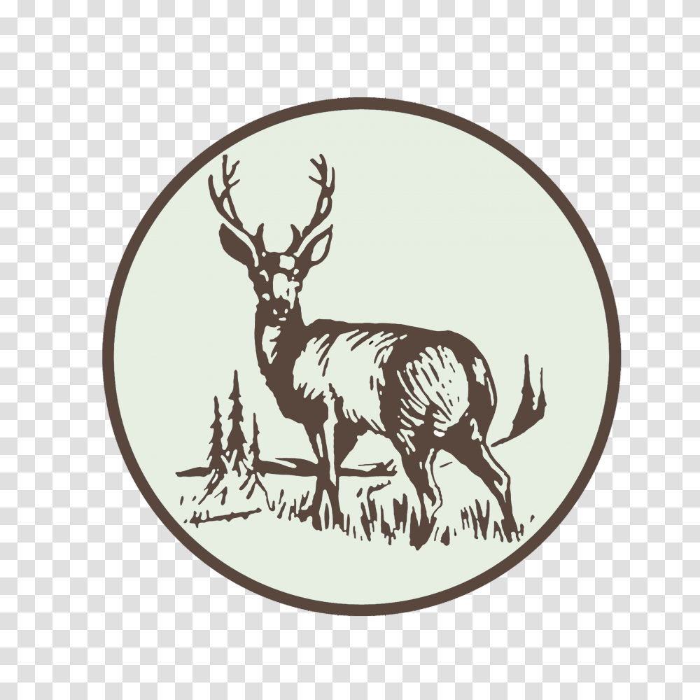 Elk, Deer, Wildlife, Mammal Transparent Png