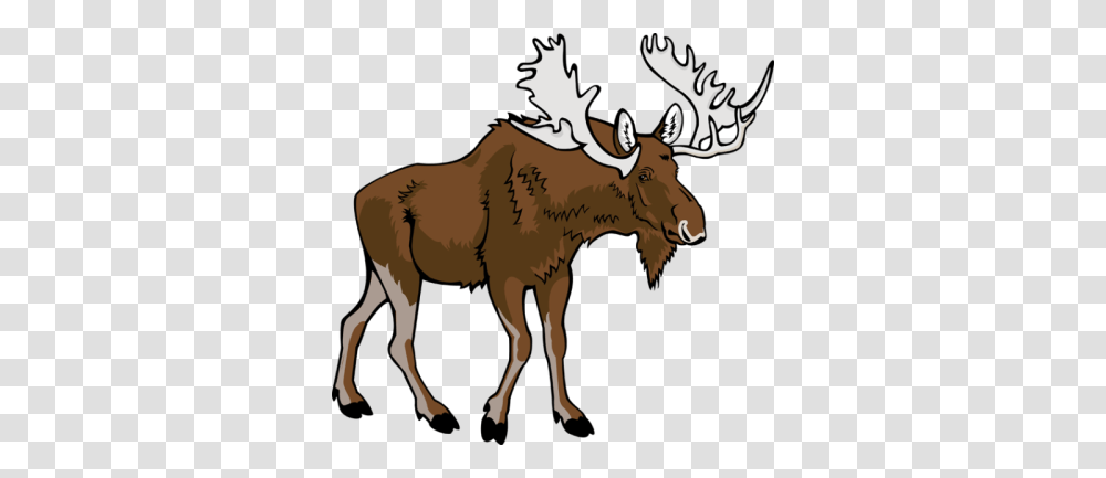 Elk Dlpng, Wildlife, Animal, Mammal, Moose Transparent Png