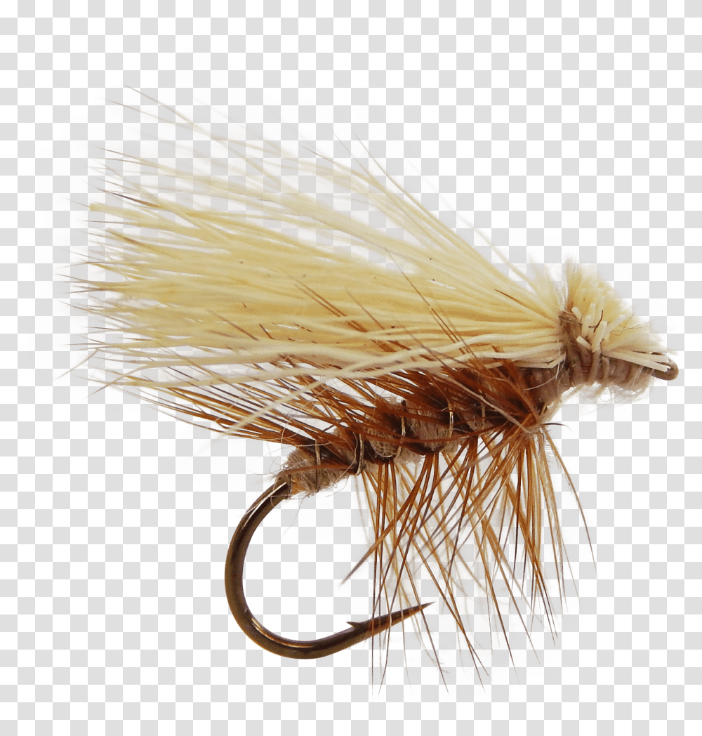Elk Hair Caddis Fly Fishing, Fungus, Plant, Fishing Lure, Bait Transparent Png