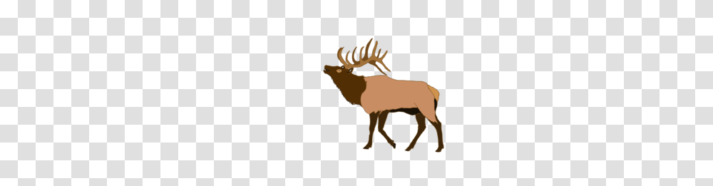 Elk Head Vector, Wildlife, Animal, Mammal, Deer Transparent Png