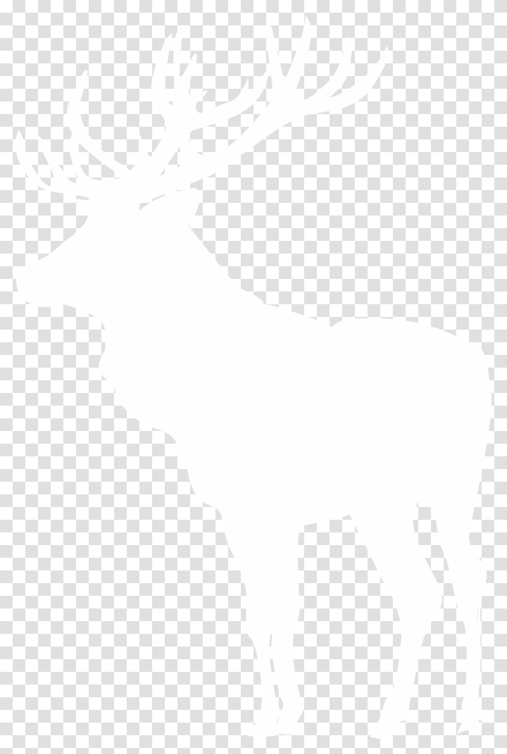 Elk, Mammal, Animal, Person, Human Transparent Png