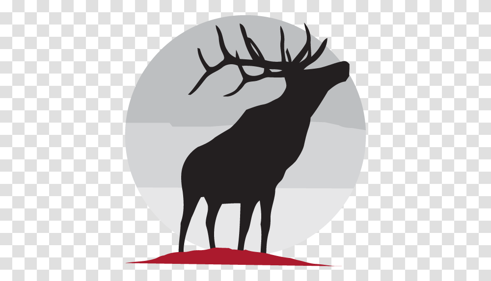 Elk Ridge Middle Elk, Mammal, Animal, Antler, Wildlife Transparent Png
