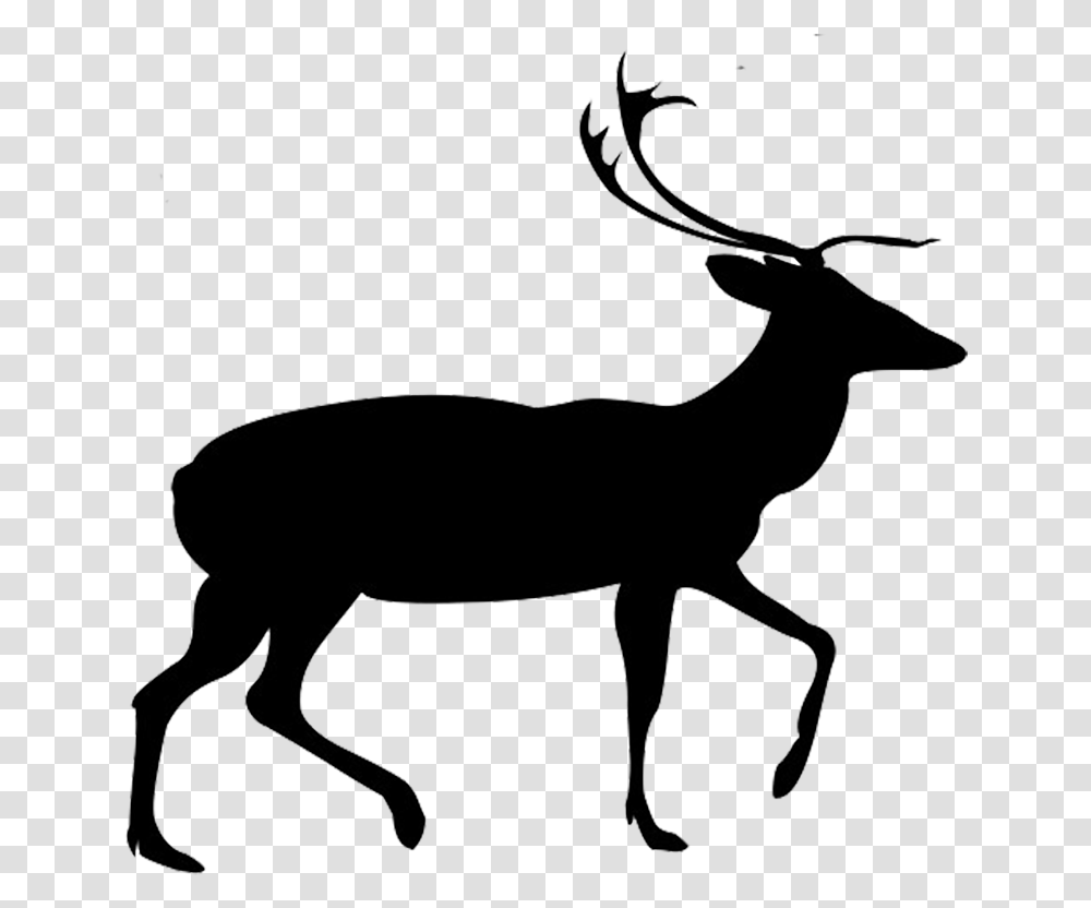 Elk Silhouette, Antelope, Wildlife, Mammal, Animal Transparent Png