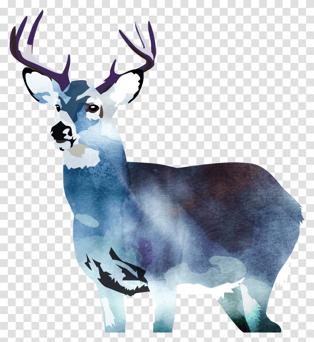 Elk, Wildlife, Animal, Mammal, Deer Transparent Png