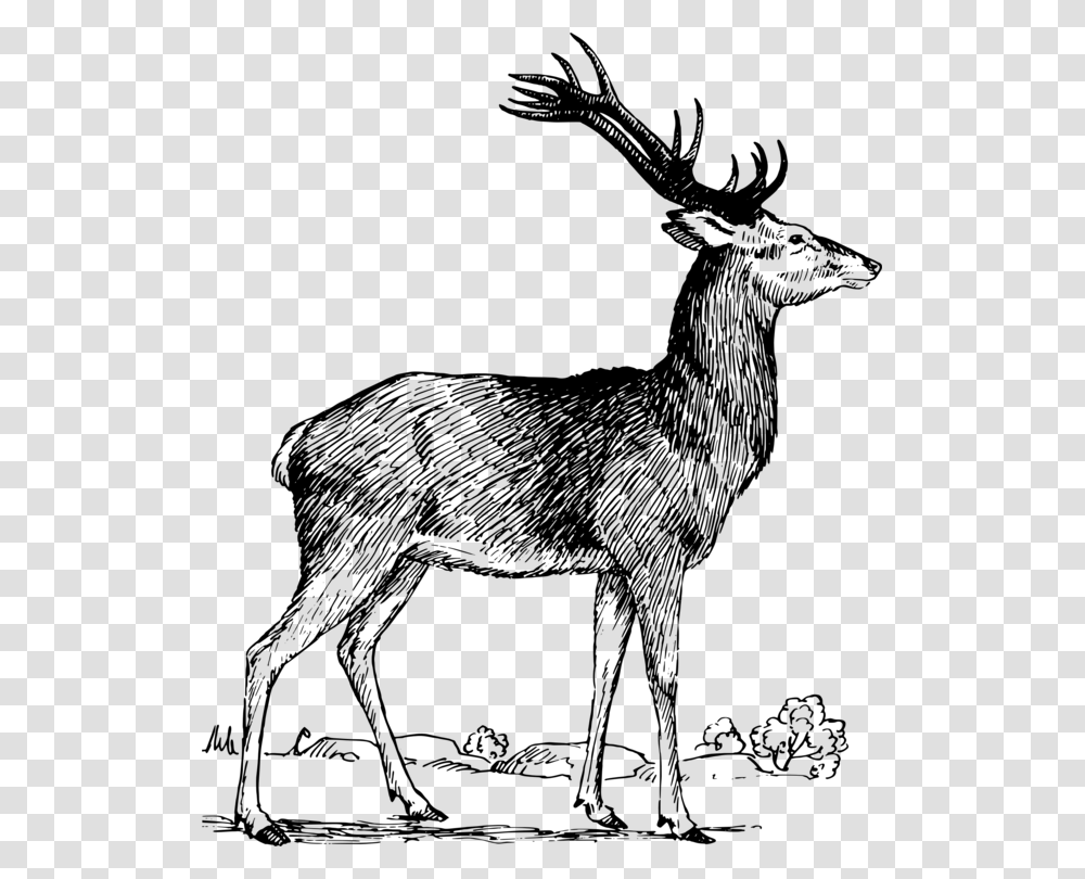 Elkwildlifetail Deer, Gray, World Of Warcraft Transparent Png