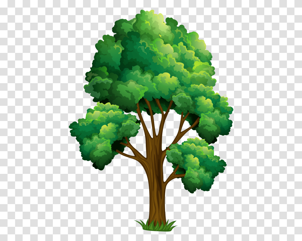Elm Tree Clipart Realistic Tree Cartoon Drawing, Plant, Pattern, Fractal, Ornament Transparent Png
