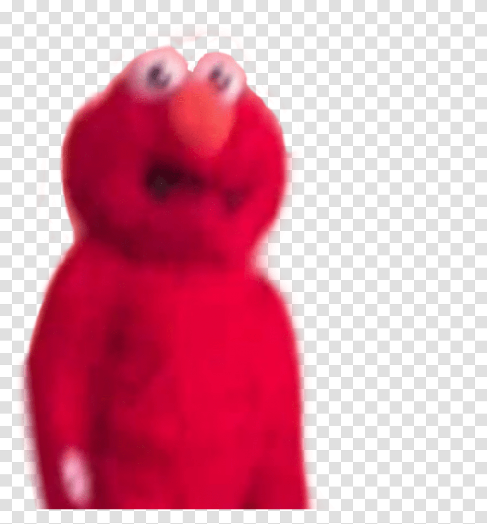 Elmo Triggered Idk Triggered Elmo, Person, Leisure Activities, Animal Transparent Png