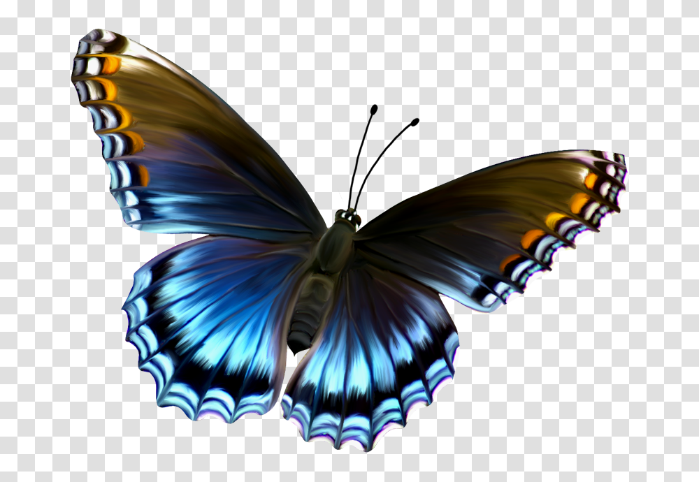 Elmundodepazennosotros Blogspot La Mariposa Azul Http, Pattern, Bird Transparent Png