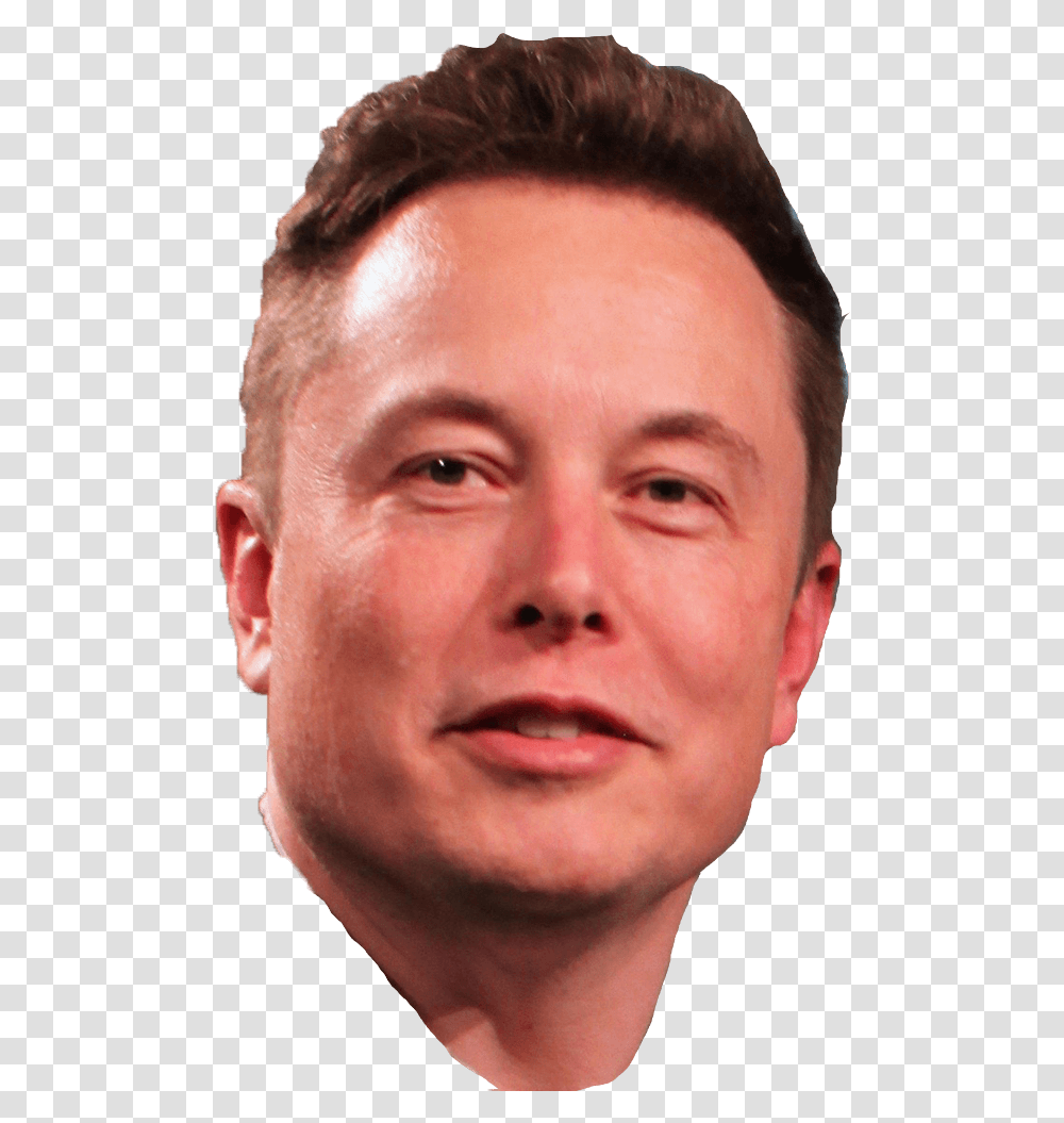 Elon Musk Elon Musk, Head, Face, Person, Human Transparent Png