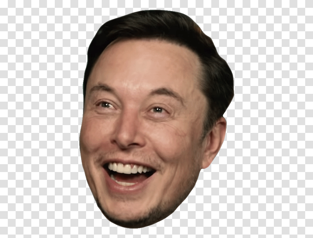 Elonlol Elon Musk Gta 5 Meme, Face, Person, Human, Head Transparent Png