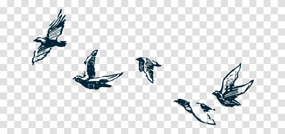 Elopementbirds 03 Flock, Animal, Mammal, Sea Life, Hook Transparent Png