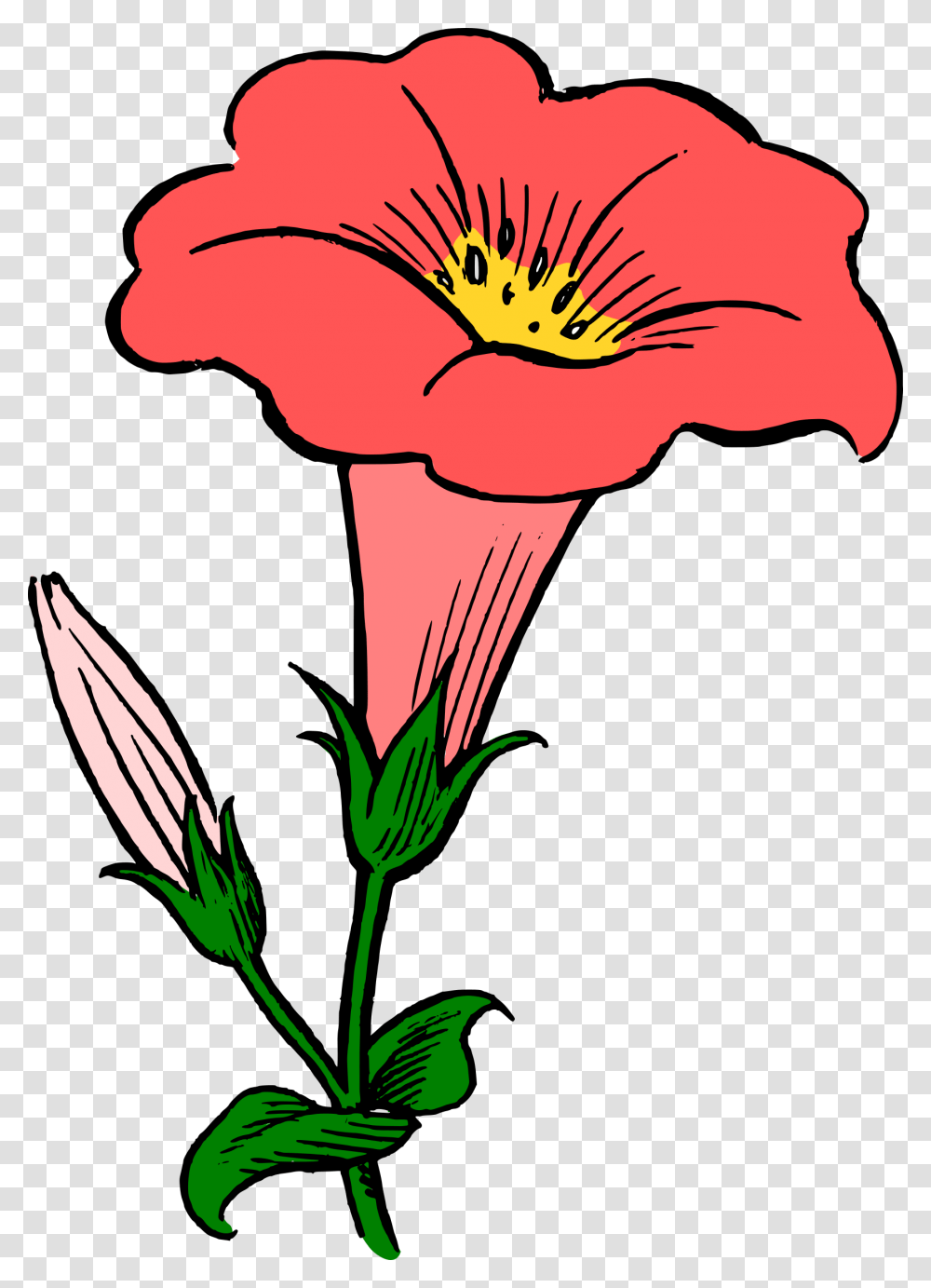Elower Clipart Colored, Plant, Flower, Blossom, Anther Transparent Png
