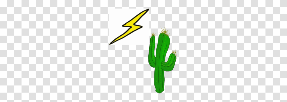 Elrancho Thunderhorse Brand Clip Art, Plant, Cactus, Dynamite, Bomb Transparent Png