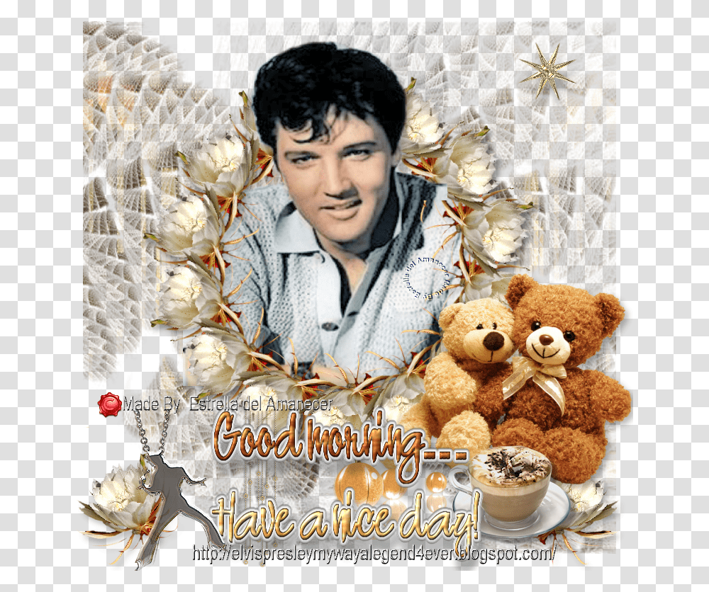 Elvis Presley, Teddy Bear, Toy, Person, Shop Transparent Png