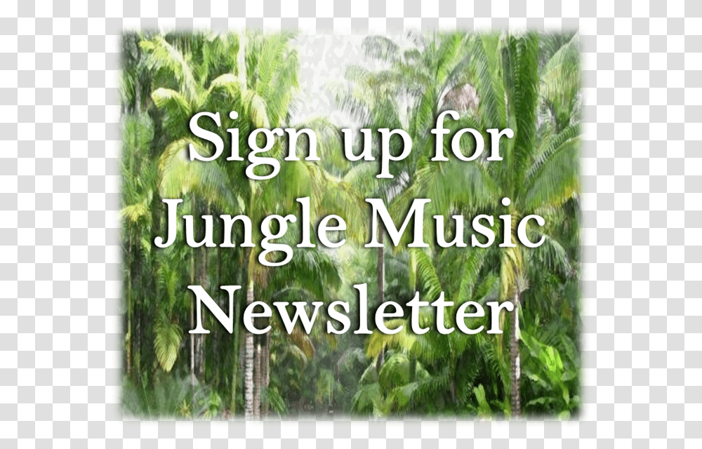Email Newsletter Sign Up Banner Plantation, Vegetation, Outdoors, Tree, Woodland Transparent Png