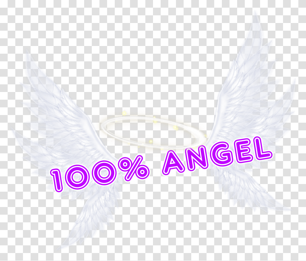 Emblem, Bird, Animal, Dove Transparent Png