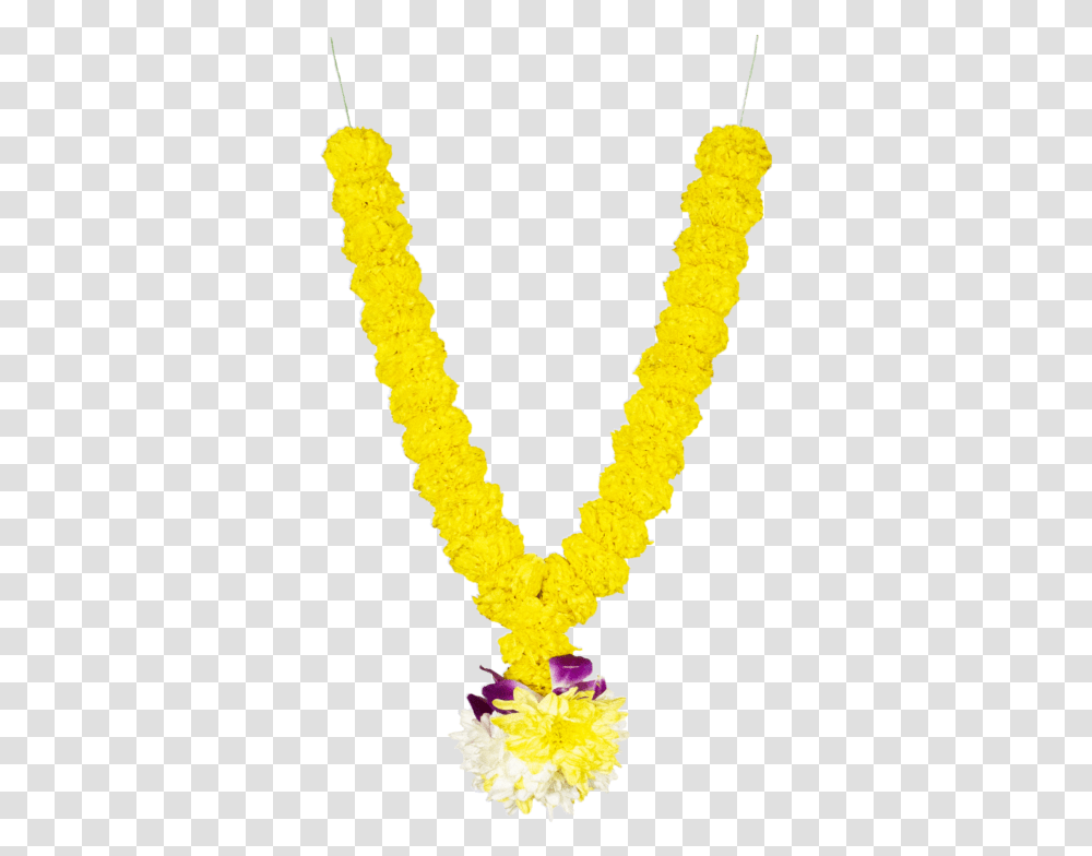 Emblem, Necklace, Jewelry, Accessories, Accessory Transparent Png