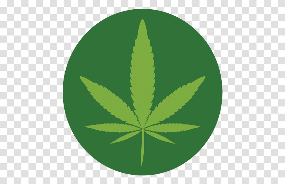 Emblem, Plant, Leaf, Weed, Green Transparent Png