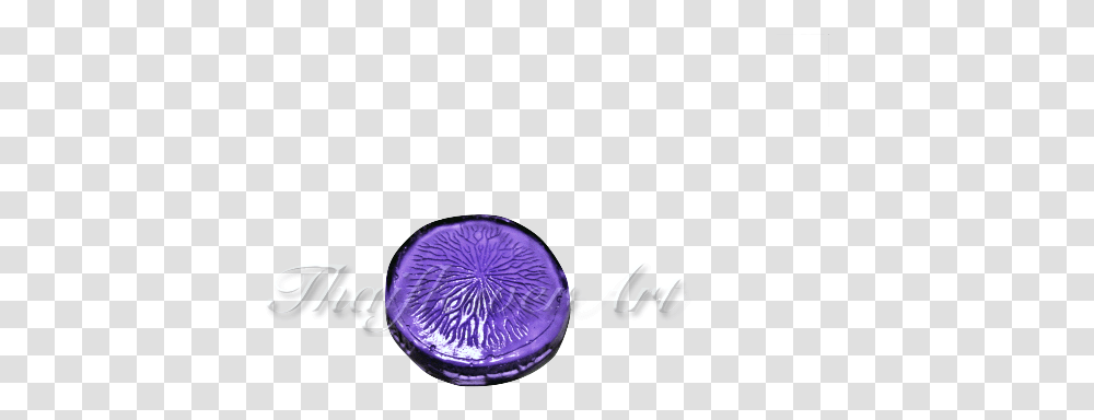 Emblem, Purple, Bottle, Face Makeup Transparent Png