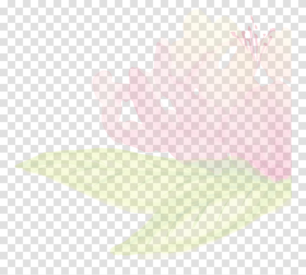 Embroidery, Plant, Flower, Blossom, Pollen Transparent Png