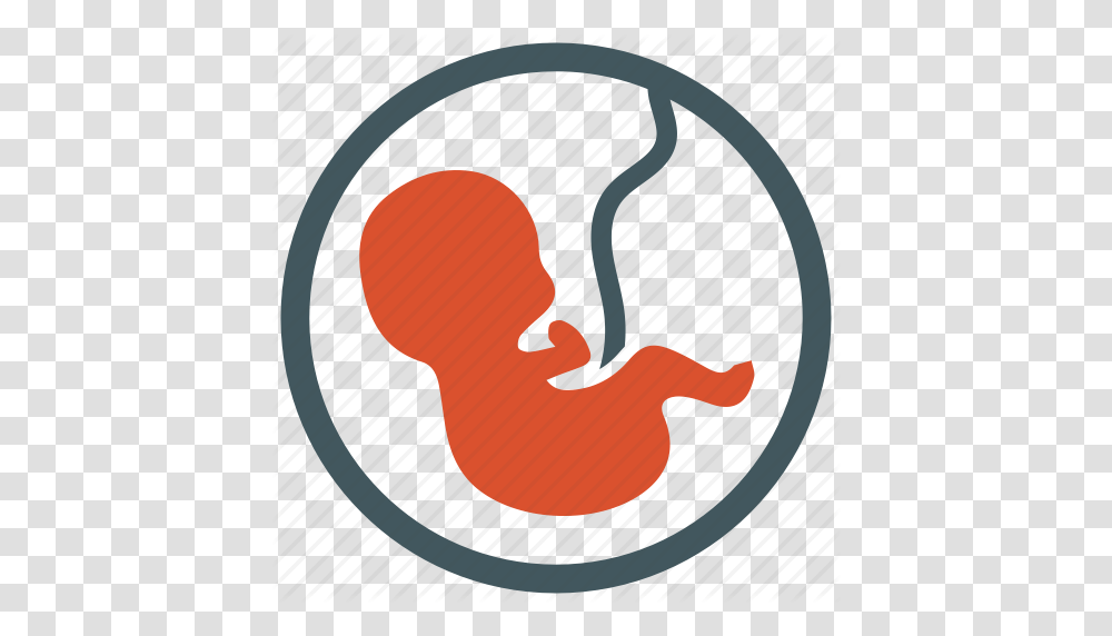 Embryo Fetus Newborn Obstetrics Pregnancy Icon, Label, Smoke Pipe, Knitting Transparent Png