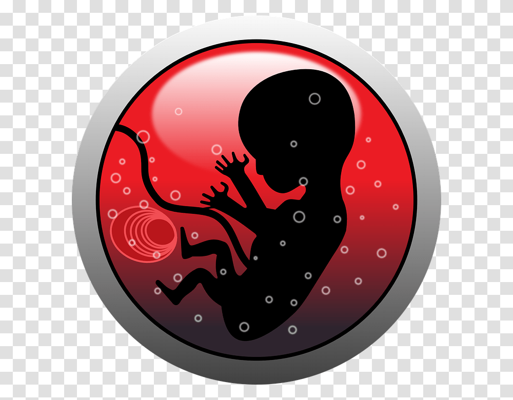 Embryo Human Infant Pregnancy Silhouette Viviparity Meaning In Hindi, Ball, Bowling, Logo Transparent Png
