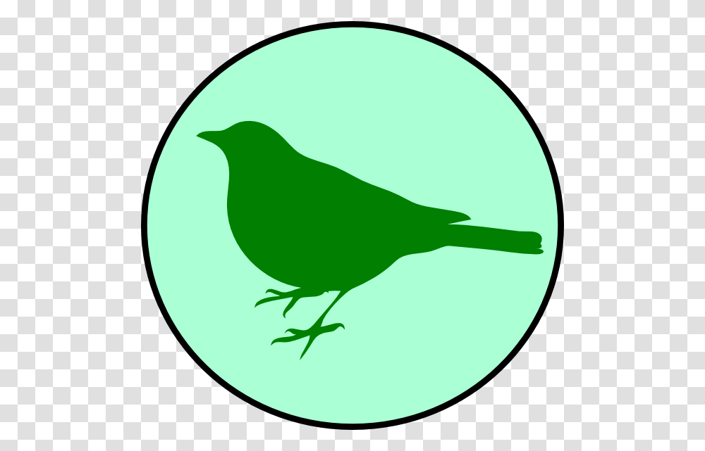 Emerald Clipart Clip Art, Bird, Animal, Blackbird, Agelaius Transparent Png
